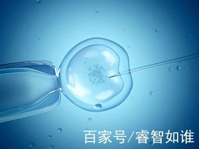 关于极光